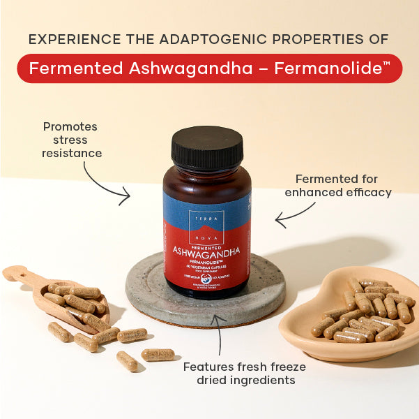 Terranova Fermented Ashwagandha – Fermanolide™